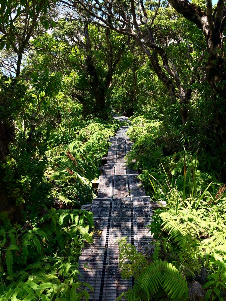 Captured by: Uʻilani Miner-Ching (Maui, 2015)