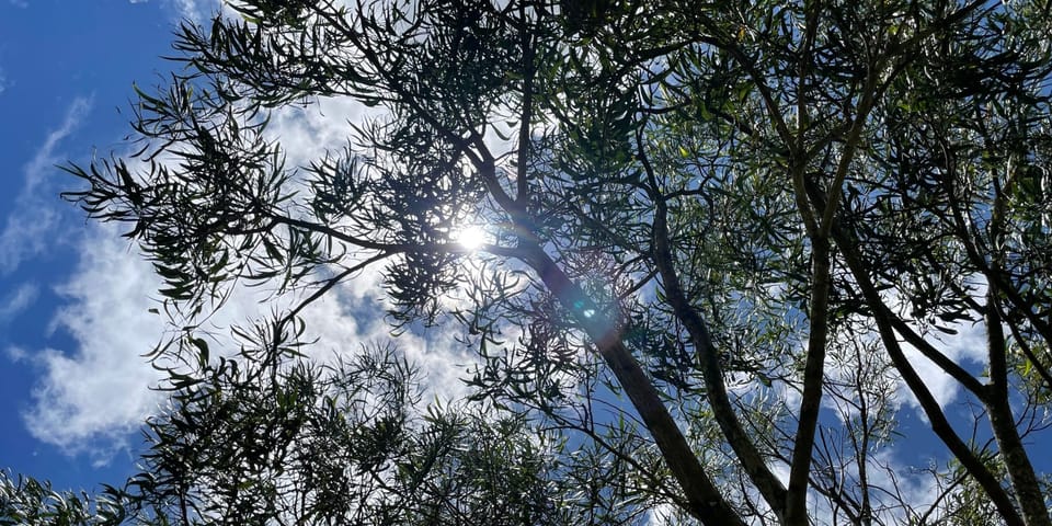 Scared + Doing it Anyway